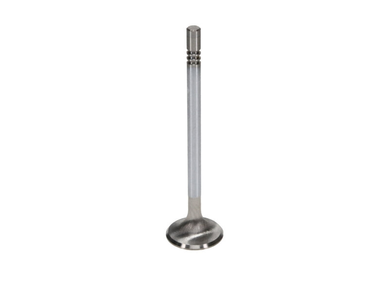 Manley Ford Modular Coyote 5.0L Gen III Race Master Series Exhaust Valve Set - 1.260in Dia Valves Manley Performance