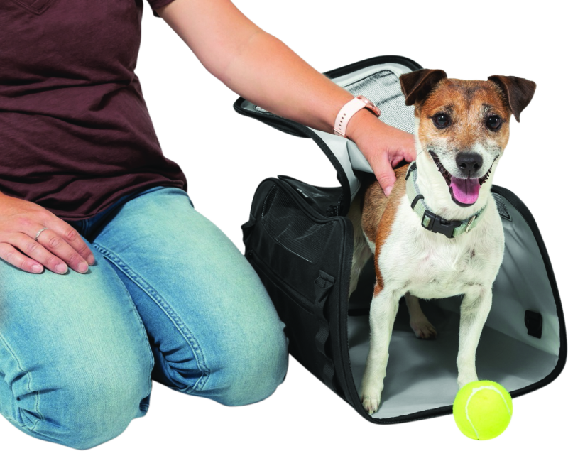 Kuryakyn Pet Palace Flyweight Bolts Kuryakyn