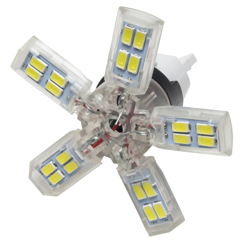 Oracle 7440 24 SMD 3 Chip Spider Bulb (Single) - Cool White Bulbs ORACLE Lighting
