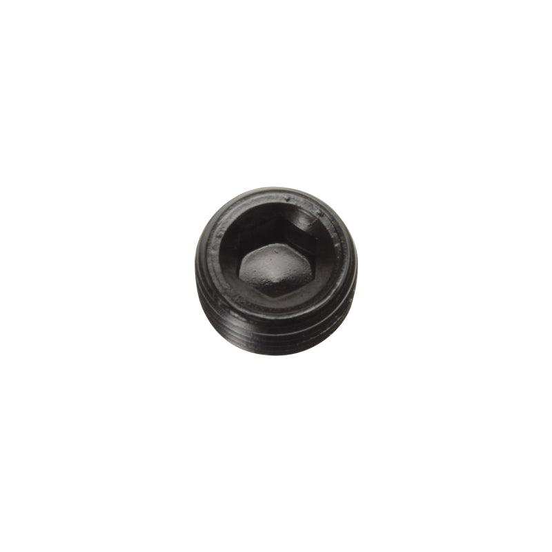 Russell Performance 3/8in Allen Socket Pipe Plug (Black) Fittings Russell
