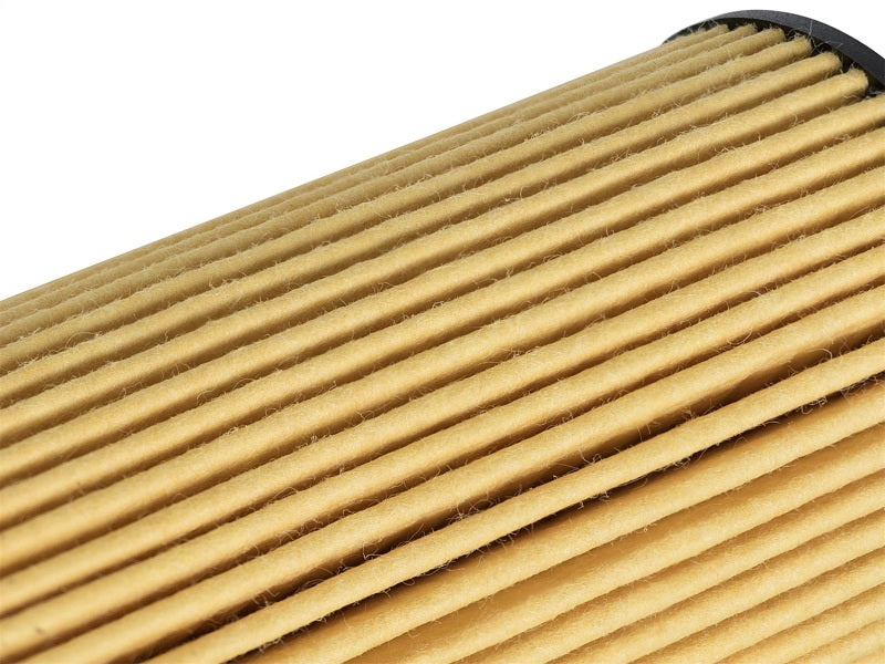 aFe Pro GUARD HD Oil Filter 2018+ Jeep Wrangler (JL) V6 3.6L (4 Pack) Oil Filters aFe