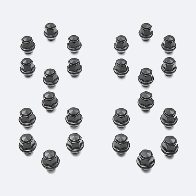 Ford Racing M12 x 1.5 Black Lug Nut - Set of 24 Lug Nuts Ford Racing