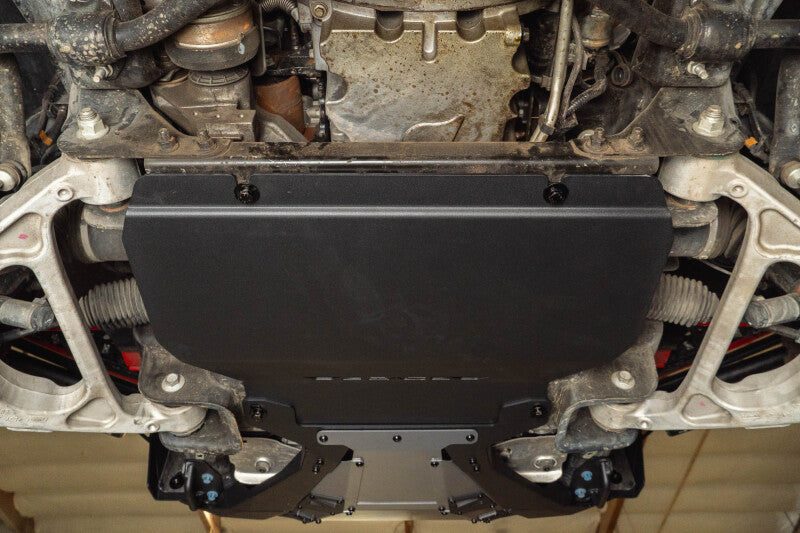 DV8 Offroad 17-20 Ford F-150 Raptor Front Diff Skid Plate Skid Plates DV8 Offroad