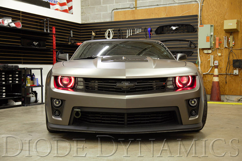 Diode Dynamics 10-13 RS/12-15 ZL1 Camaro RGBW LED Boards Light Accessories and Wiring Diode Dynamics