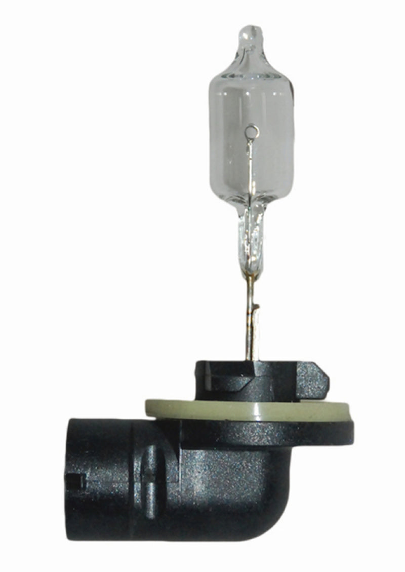 Hella Bulb 862 12V 37.5W PGJ13 T3.25 Bulbs Hella