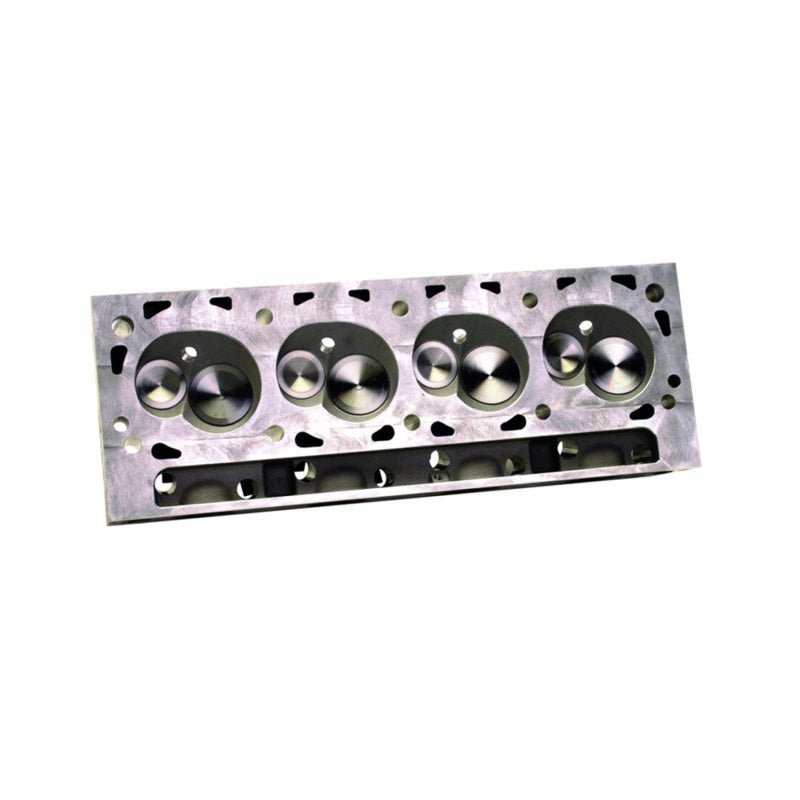 Ford Racing Super Cobra Jet Cylinder Head - Assembled with Dual Springs Heads Ford Racing