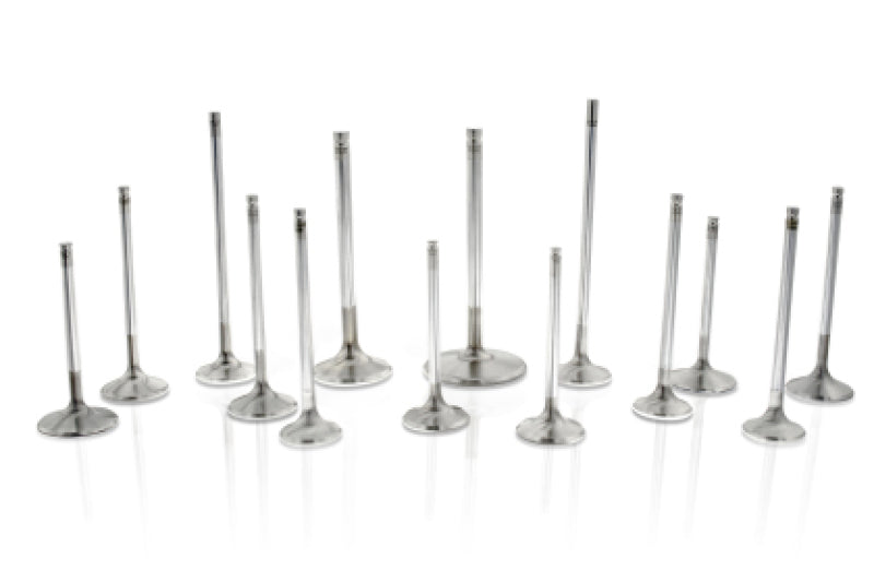 Ferrea Chrysler Big Block 1.625in Head 5/16 Stem Dia 6000 Series Competition Exhaust Valve Set of 8 Valves Ferrea