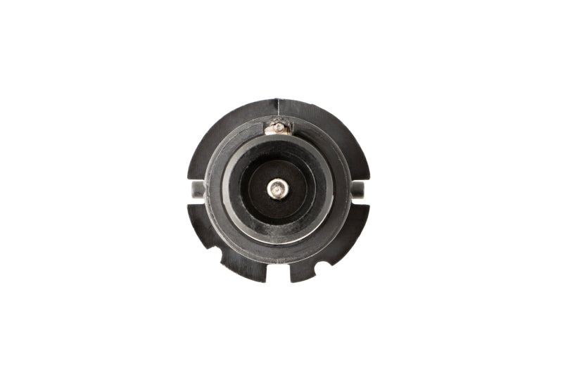 Diode Dynamics HID Bulb D4S 5000K (Pair) Bulbs Diode Dynamics