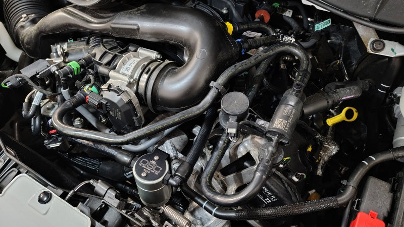 J&L 2025 Ford Transit 150/250/350 3.5L Oil Separator - Clear Anodized Oil Separators J&L