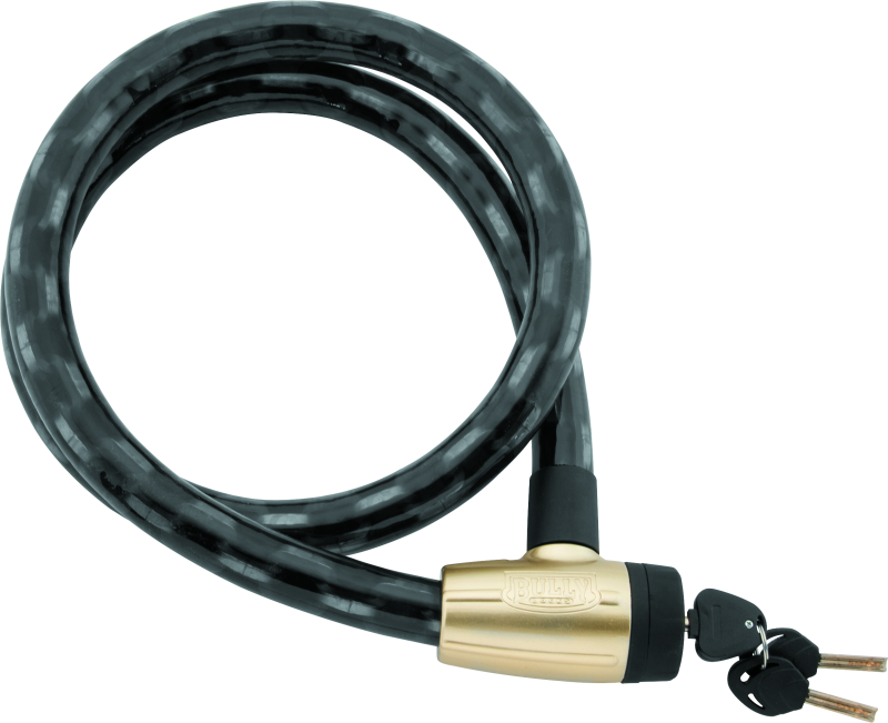 Bully Lock Heavy Duty 5.5 Chain PVC Coated Integrated Lock Security Locks BikeMaster