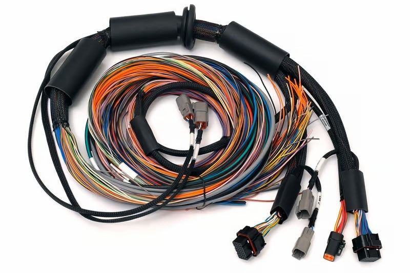 Haltech NEXUS R3 Universal Wire-In Harness - 2.5M (8ft) Wiring Harnesses Haltech