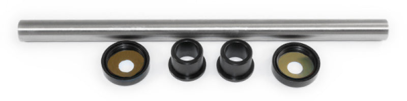 EPI 01-05 Yamaha 660 Raptor A-Arm Repair Kit Swingarms EPI