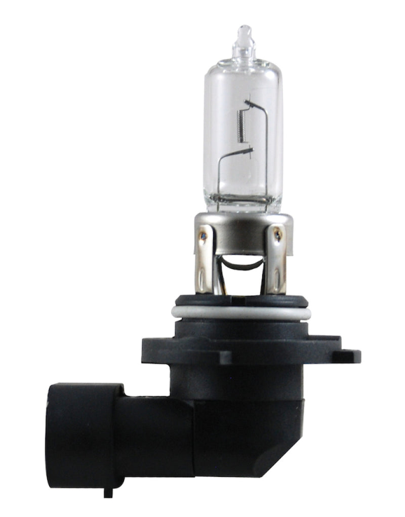 Hella Bulb 9005 12V 65W P20D T4 +50 Bulbs Hella