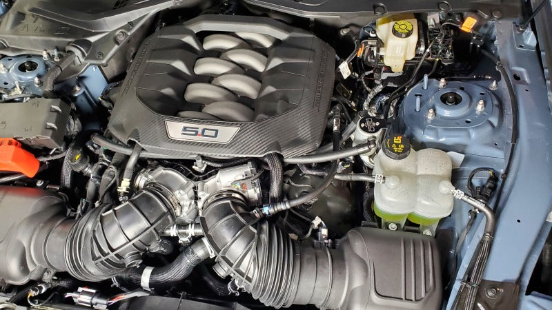 J&amp;L 2024-2025 Ford Mustang 5.0L Oil Separator 3.0 PCV Side - Clear Anodized Oil Separators J&L