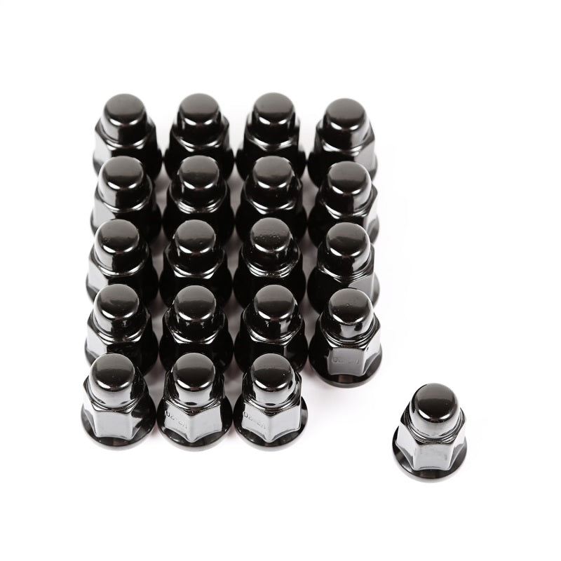 Rugged Ridge Wheel Lug Nut Set of 20 Black 1/2-20 Lug Nuts Rugged Ridge