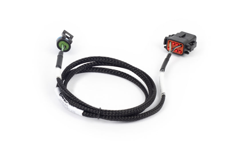 Haltech NEXUS Rebel LS T56 Transmission Harness (Plug-n-Play w/HT-186500) Wiring Harnesses Haltech