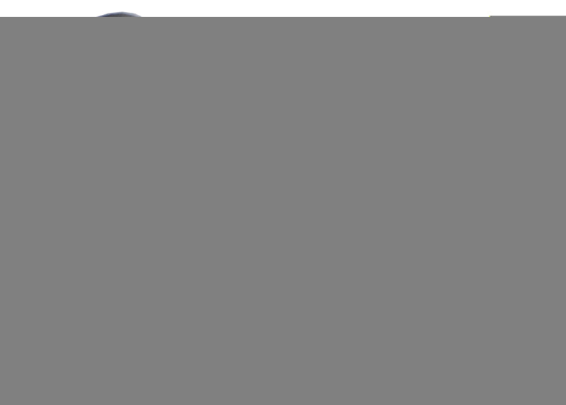 Whiteline Plus 1/85-11/99 Toyota Landcruiser Rear Sway Bar Link Bushing Bushing Kits Whiteline