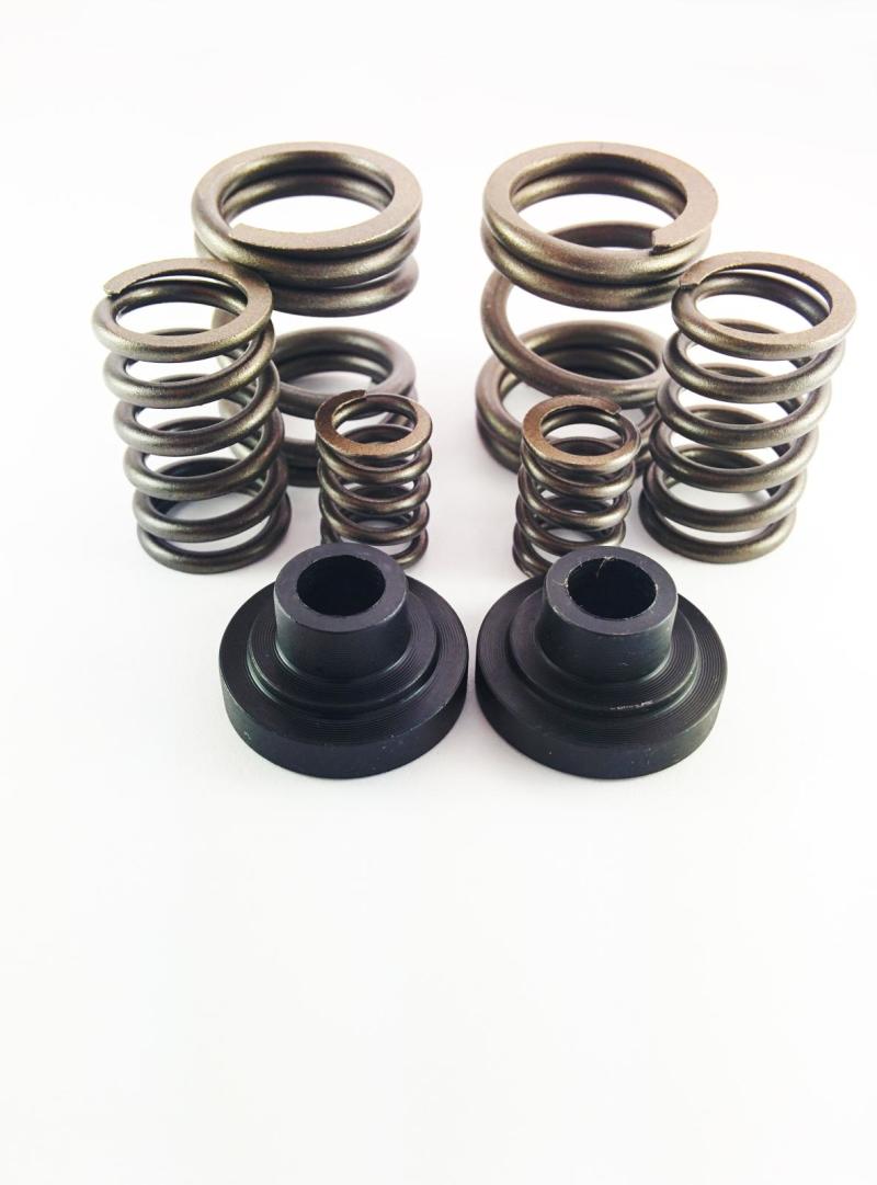 DDP 94-98 Dodge Cummins 5.9L 12V P-Pump 3000 & 4000 RPM Governor Spring Kit Injection Pump Components DDP