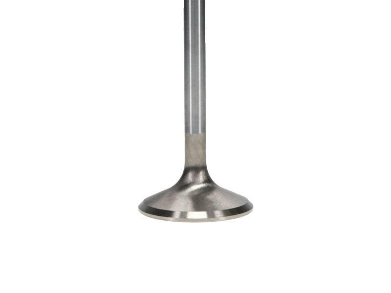 Manley Ford 6.2L 42mm Diameter 5.356in O/A Length Bead Lock Race Master Exhaust Valves (Set of 8) Valves Manley Performance