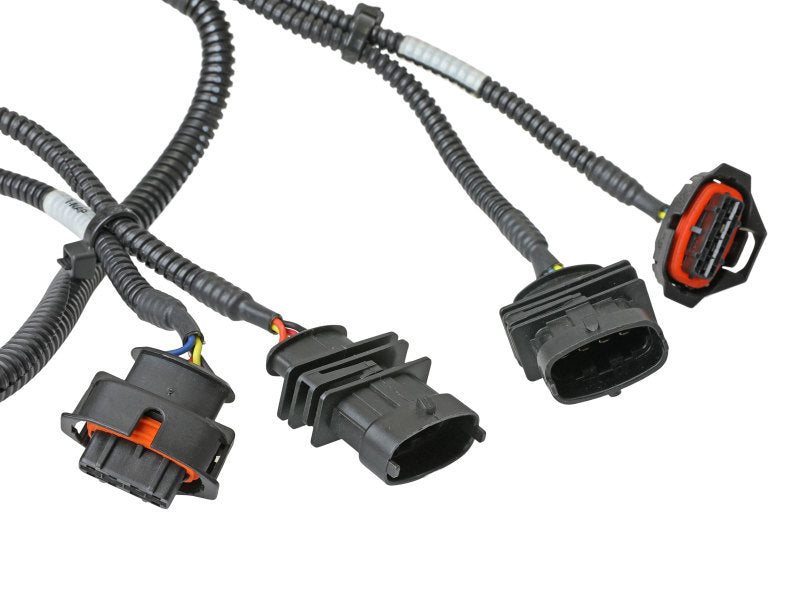 aFe Scorcher Module 14-19 Ford Fiesta ST L4-1.6L In-Line Modules aFe