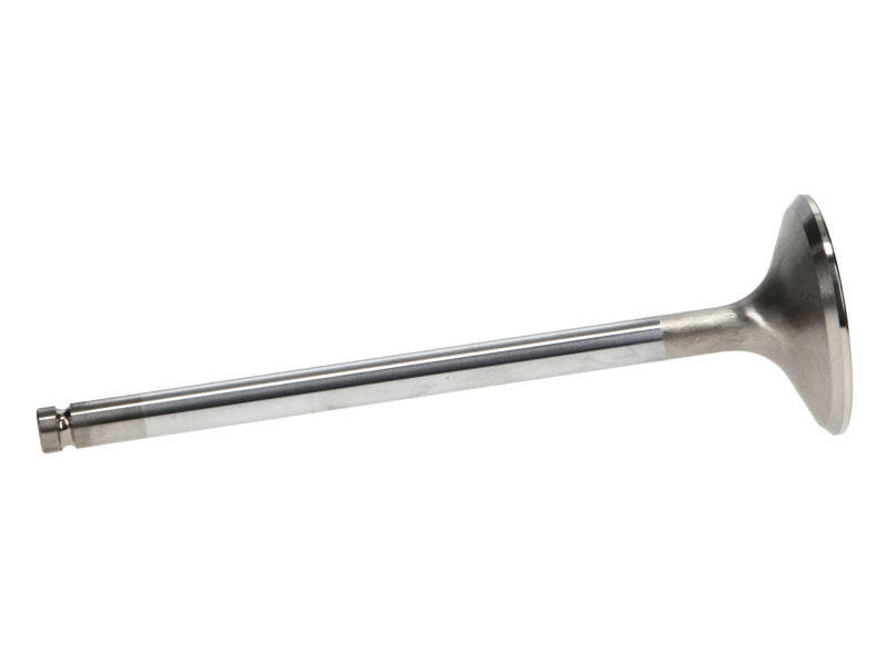 Manley Ford 6.2L 42mm Diameter 5.356in O/A Length Bead Lock Race Master Exhaust Valves (Set of 8) Valves Manley Performance