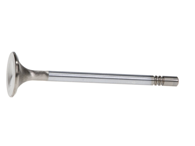 Manley Ford Modular Coyote 5.0L Gen III Race Master Series Exhaust Valve Set - 1.260in Dia Valves Manley Performance