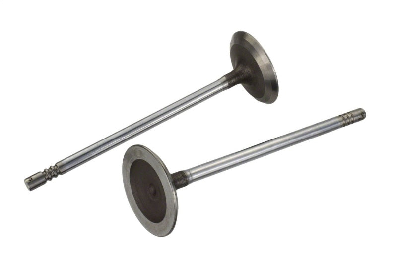 Ford Racing Coyote 5.2L Lightweight Intake Valve - Set of 8 Valves Ford Racing