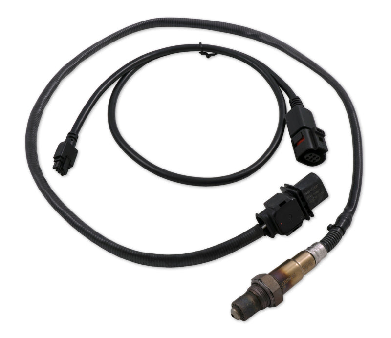 Innovate LSU4.9 Upgrade Kit - 3ft Sensor Cable and O2 Sensor Oxygen Sensors Innovate Motorsports