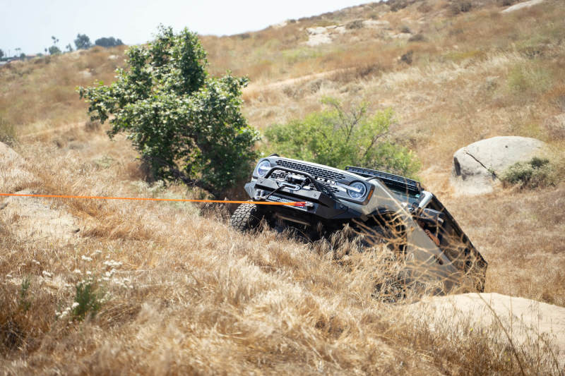 DV8 Offroad Elite Series D-Ring Shackles - Pair (Black) Bumper Accessories DV8 Offroad