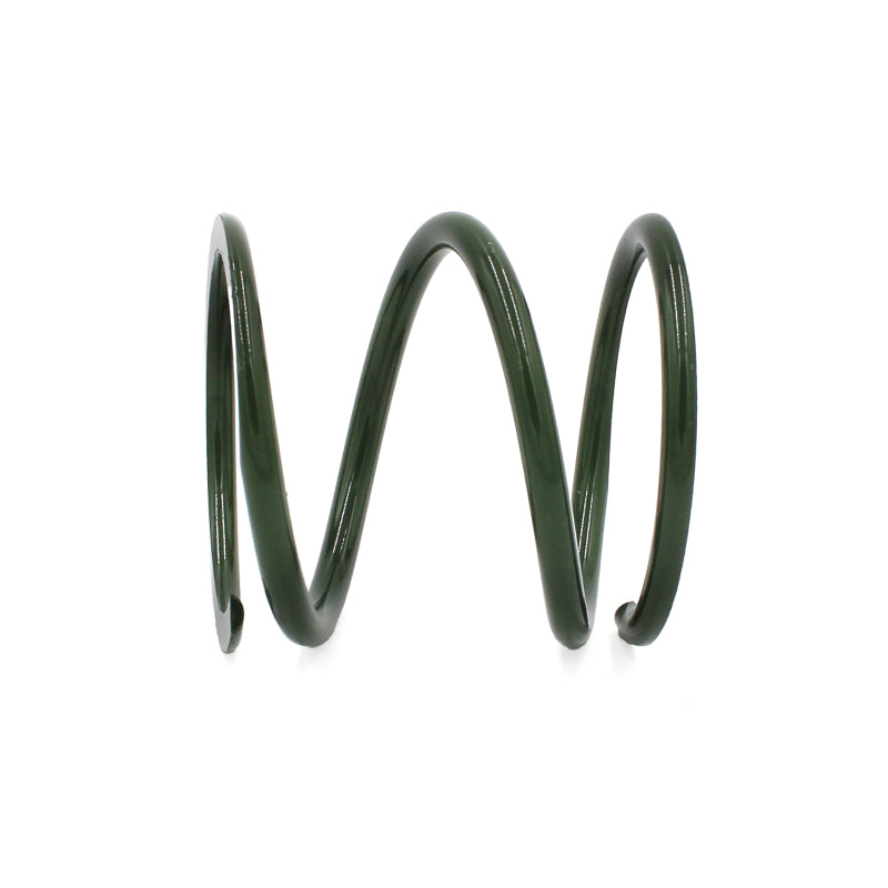 EPI 24+ Polaris RZR XP 1000/ Xpedition XP/ADV Primary Clutch Spring Dark Green Clutch Rebuild Kits EPI