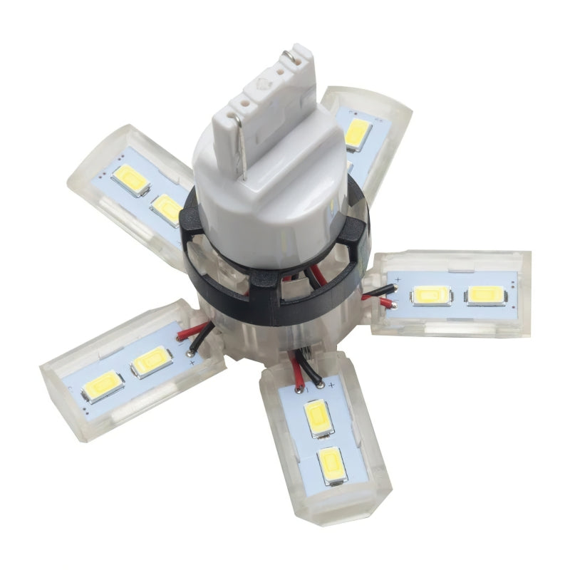 Oracle 7440 24 SMD 3 Chip Spider Bulb (Single) - Cool White Bulbs ORACLE Lighting