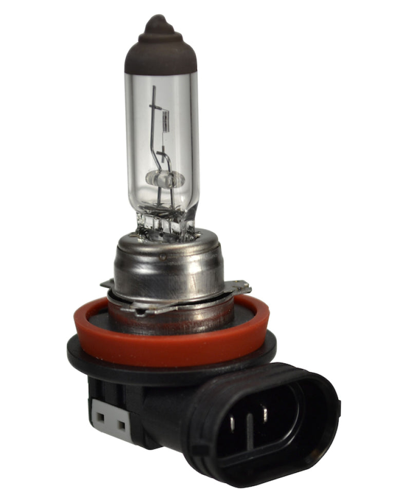 Hella Bulb H16 12V 19W PGJ19-3 Bulbs Hella