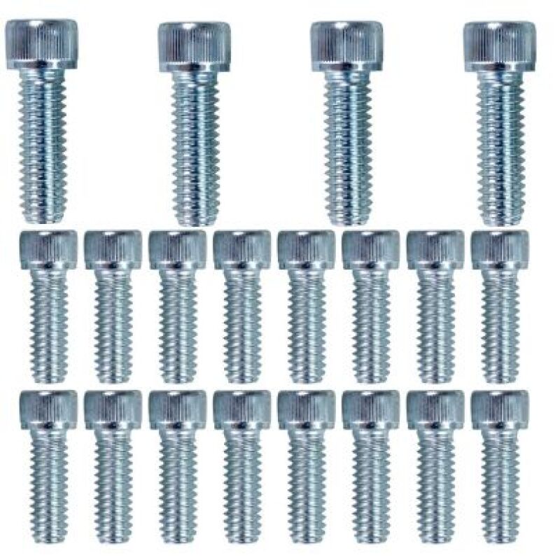 Moroso Small Block Ford 302/351W Fabricated Oil Pan Bolt Kit Bolts Moroso