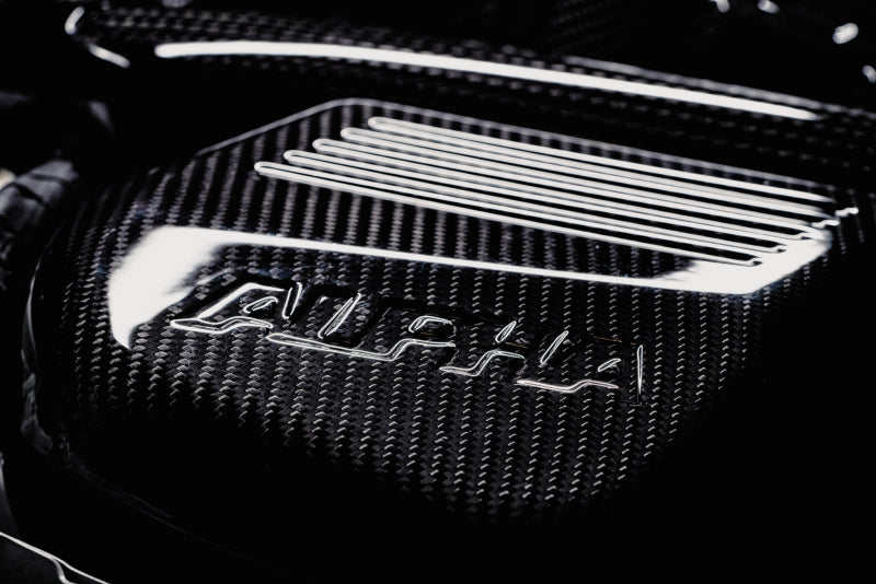 AMS Performance 15-18 BMW M3 / 15-20 BMW M4 w/ S55 3.0L Turbo Engine Carbon Fiber Intake Short Ram Air Intakes AMS