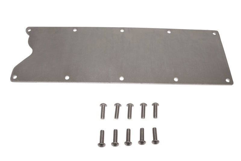 Moroso GM LS1/LS2/LS6/C5R Engine Storage Plate - 1/8in - Steel Block Off Plates Moroso