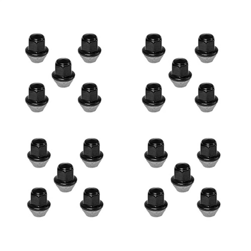 Ford Racing 15-18 Mustang Black Lug Nut Kit (20 Lug Nuts) Lug Nuts Ford Racing