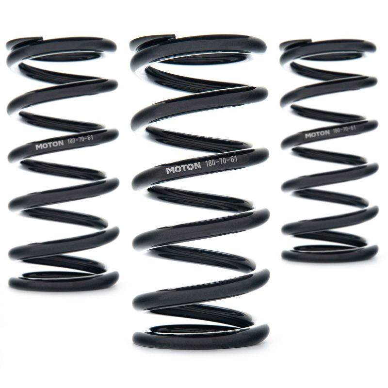 AST Linear Race Springs - 80mm Length x 140 N/mm Rate x 61mm ID - Single Coilover Springs AST