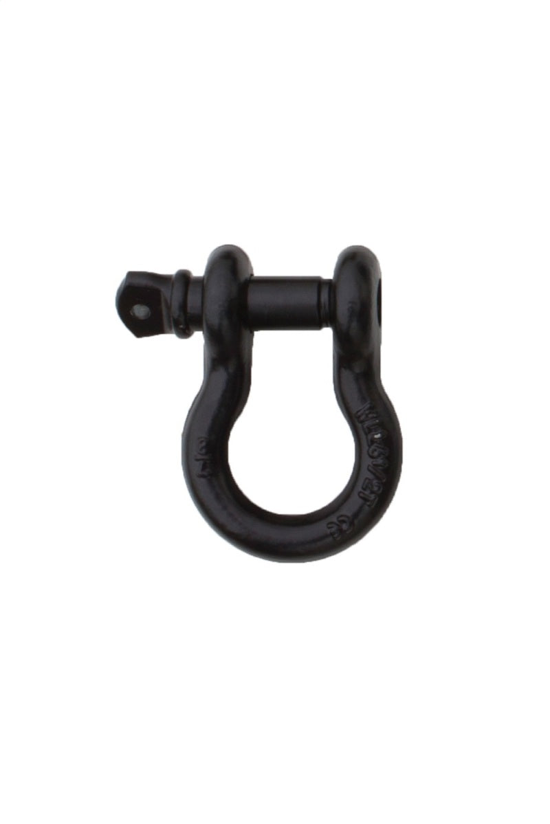Rampage 1955-2019 Universal Recovery D Ring 3/4in Black - Black Tow Hooks Rampage