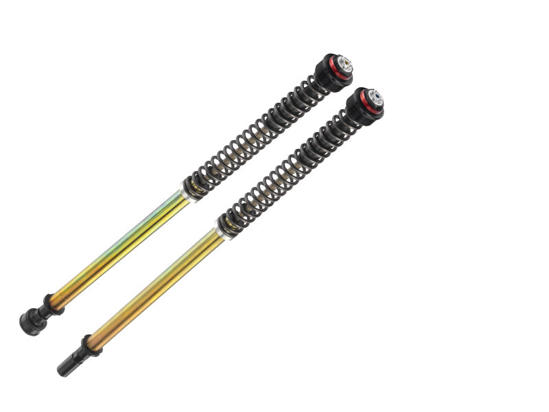 Bitubo JBHV1 Pressurized Cartridge Adj.: Spring Preload, Rebound, Comp., w/o Oil, Red Ring Fork Cartridge Kits Bitubo Suspension