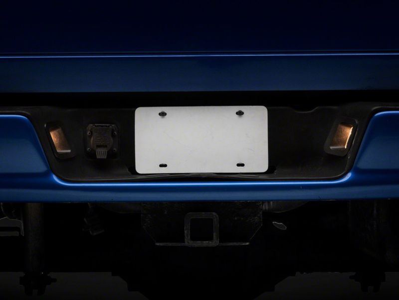 Raxiom 02-10 Dodge RAM 1500/2500 Axial Series OE Replacement License Plate Lamps Bulbs Raxiom