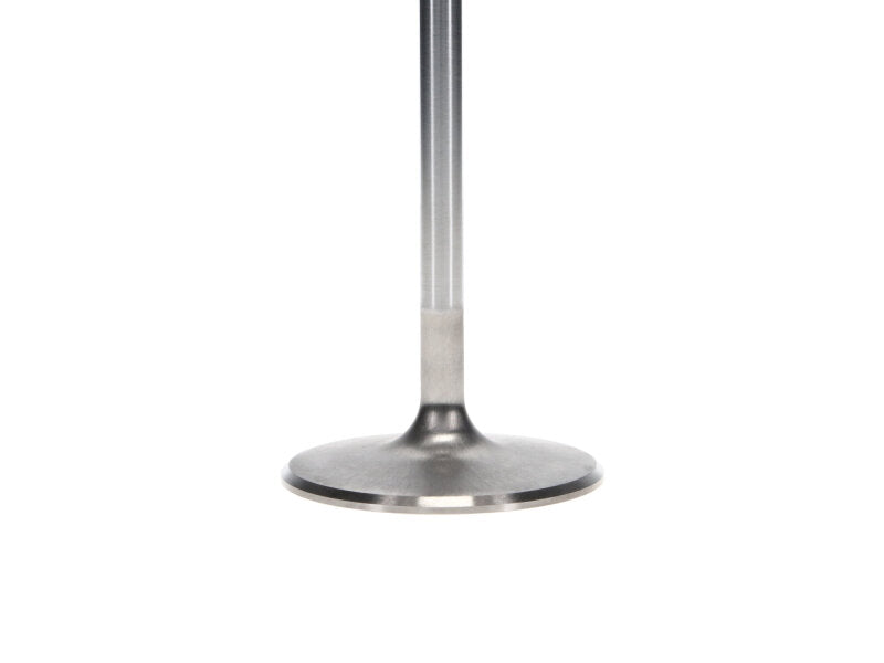 Manley Chevrolet Big Block Intake Valve Kit - 2.300in Head Dia. 5.244in O/A Length, 0.3110in Stem Valves Manley Performance