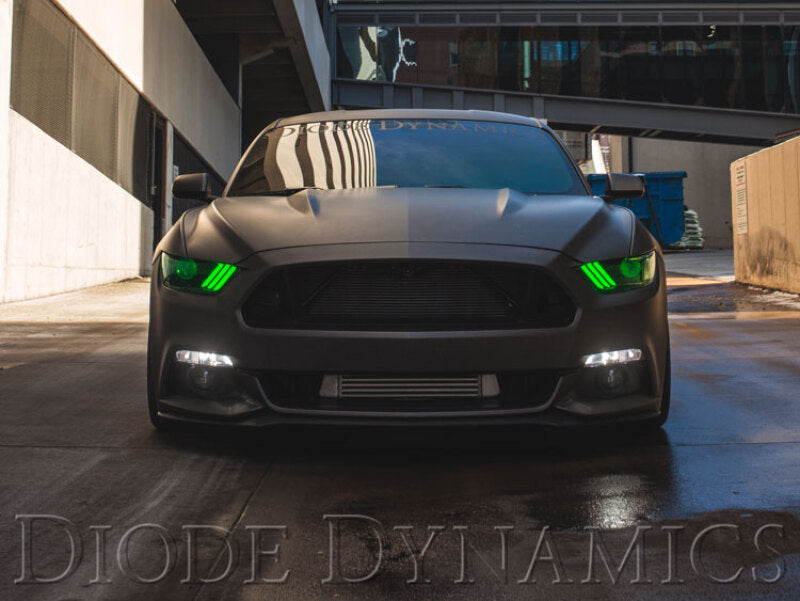 Diode Dynamics 15-17 Ford Mustang RGBW DRL LED Boards Light Accessories and Wiring Diode Dynamics