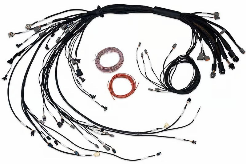 Haltech NEXUS R5 LSx Non DBW Terminated Harness Wiring Harnesses Haltech