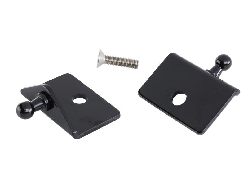 Ford Racing 05-14 Mustang Hood Lift Kit w/ Laser Engraved Ford Performance Logo Hood Struts Ford Racing