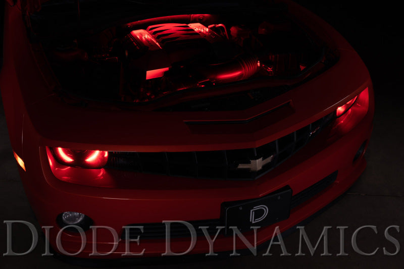Diode Dynamics RGBW Engine Bay Strip Kit 2pc Multicolor Light Strip LED Diode Dynamics