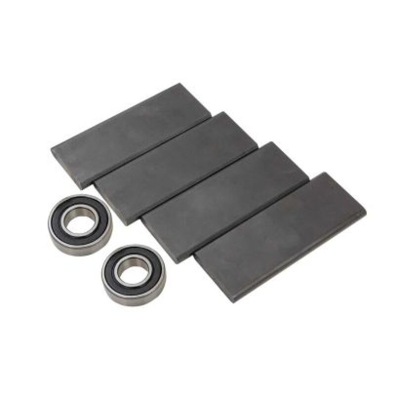 Moroso Large Style Vacuum Pump Vane Kit (For 22843) Vacuum Pumps Moroso