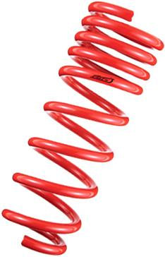 Tanabe DF210 Springs 10-10 Prius Lowering Springs Tanabe