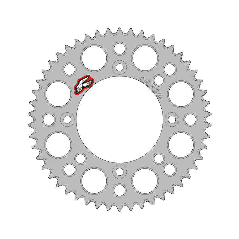 Renthal 2025 KTM 65 Rear Chain Wheel - Silver 420-48GP Teeth Sprockets Renthal