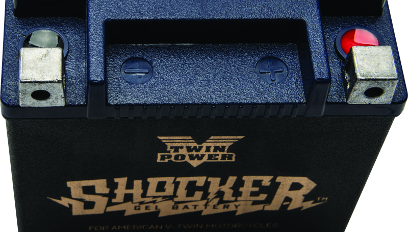 Twin Power YTX-14L Shocker Gel Battery Replaces H-D 65958-04 220 CCA Batteries TwinPower