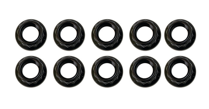 Moroso 5/16in-24 12 Point Black Oxide Flange Nut - 10 Pack Hardware Kits - Other Moroso